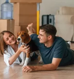 Umzug mit Haustieren Vorbereitung Zuhause