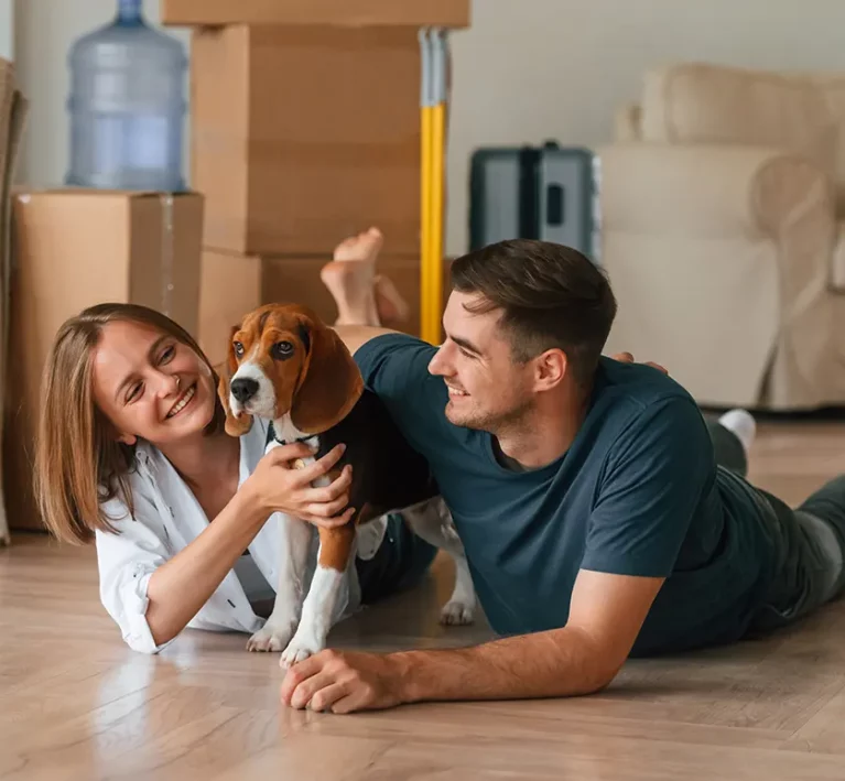 Umzug mit Haustieren Vorbereitung Zuhause