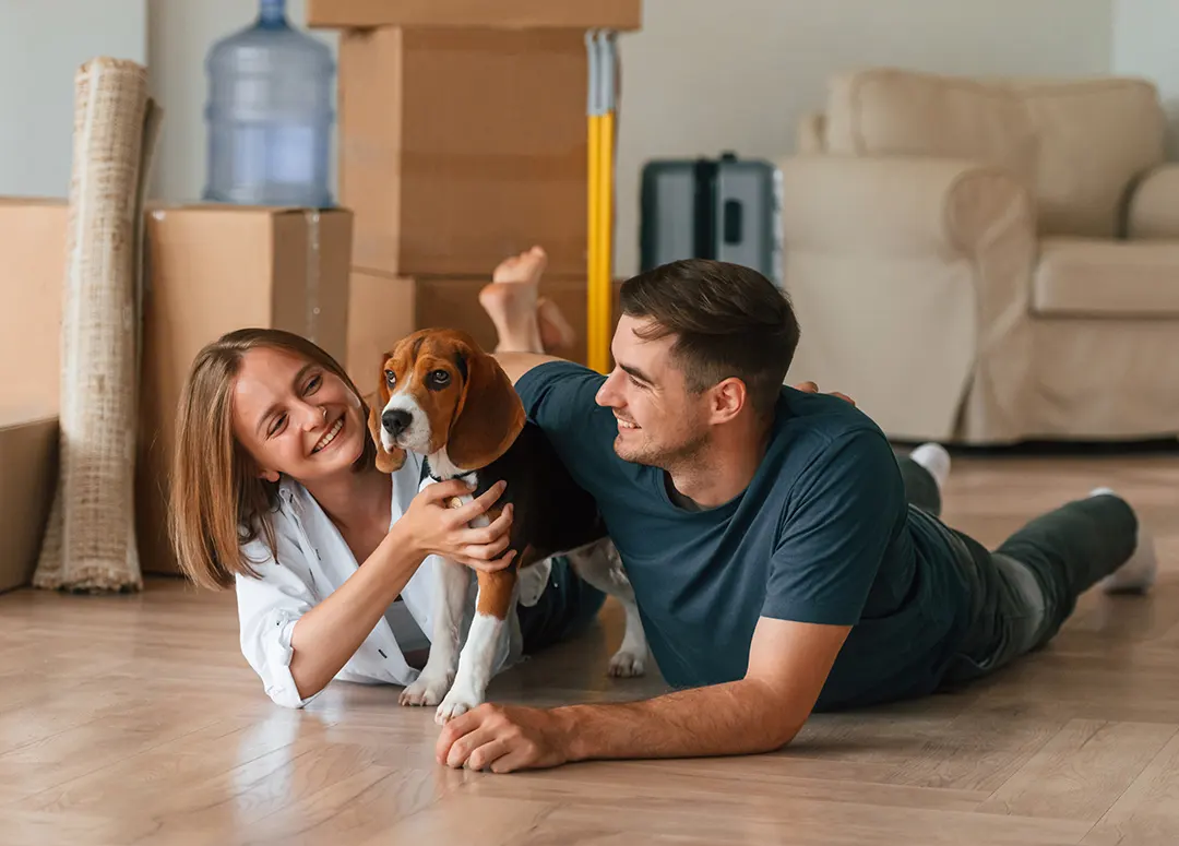 Umzug mit Haustieren Vorbereitung Zuhause